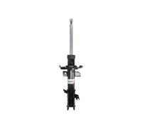 Magnum Technology AGG182MT Ammortizzatore per FORD
