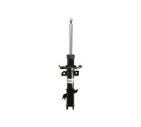 Magnum Technology AGG183MT Ammortizzatore per FORD