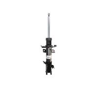 Magnum Technology AGG196MT Ammortizzatore per FORD