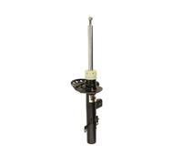 Magnum Technology AGI019MT Ammortizzatore