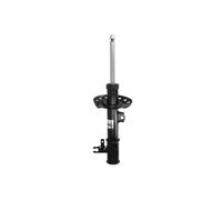 Ammortizzatore MAGNUM TECHNOLOGY AGX099MT destro