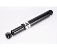 Magnum Technology AHG103MT Ammortizzatore per FORD
