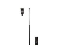 Magnum Technology MGS0029 Ammortizzatore pneumatico, Cofano motore per AUDI