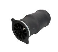 Magnum Technology MZM011MT Molla pneumatica, Autotelaio per MERCEDES-BENZ