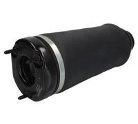 Magnum Technology MZM016MT Molla pneumatica, Autotelaio per MERCEDES-BENZ