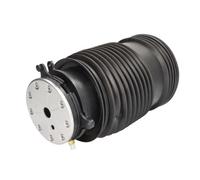 Magnum Technology MZM019MT Molla pneumatica, Autotelaio per MERCEDES-BENZ