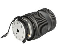 Magnum Technology MZM021MT Molla pneumatica, Autotelaio per MERCEDES-BENZ