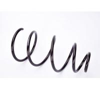 Magnum Technology SF025MT Molla autotelaio per FIAT,LANCIA