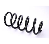 Magnum Technology SW109MT Molla autotelaio per VW