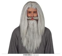 Mago Medievale Grigio Parrucca Barba Mago Halloween Costume Party Accessorio, Colore: Grigio