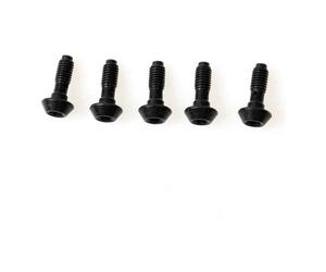 Magura banjo screw mt brakes x5