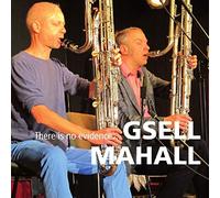 Mahall, Gsell - There Is No Evidence