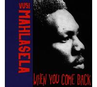 Mahlasela,Vusi - When You Come Back