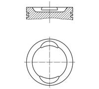 Pistone MAHLE 009 41 00