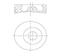 MAHLE 016 02 00 Pistone Per FORD
