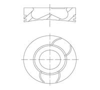 Pistone MAHLE 021 PI 00124 000