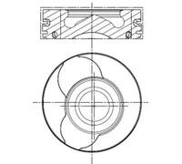 Pistone MAHLE 022 01 00
