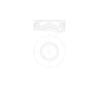 Pistone MAHLE 081 PI 00105 000
