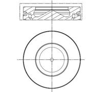 Pistone MAHLE 081 PI 00113 000