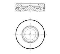 MAHLE 081 PI 00119 000 Pistone per BMW