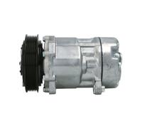 Compressore climatizzazione R 134a PAG 46 ACP 1017 000S MAHLE per VW