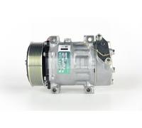MAHLE Compressore, Climatizzatore compatibile con SCANIA ACP 117 000P