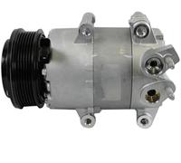 Compressore Climatizzatore Keilrippenriemenscheibe 110mm MAHLE per Ford, Fiesta