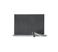 MAHLE AE 74 000S Evaporatore climatizzatore