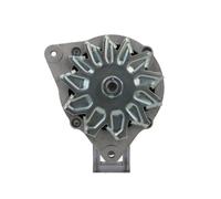Mahle Alternatore Generatore Per Landini Blizzard 60 65 75 85 95