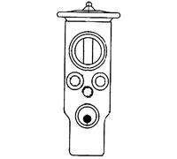 Mahle AVE 25 000S Valvola di espansione e Tubo Orientale