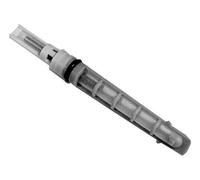 MAHLE AVE 48 000S Iniettore Ugello, Espansione Valvola per Audi, Skoda, Volvo ,