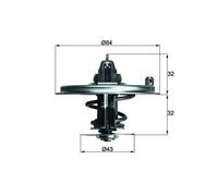 MAHLE BEHR TX 36 80D - Termostato Refrigerante