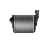 MAHLE CI 334 000P frigocantina