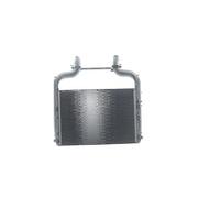 MAHLE CI 36 000P Intercooler per DAF