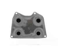 MAHLE ORIGINAL CLC 221 000S Radiatore olio, Cambio automatico