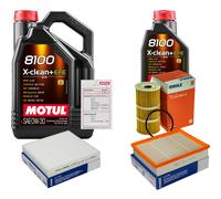 MAHLE Controllo Set 6L MOTUL 8100 X-CLEAN 0W-30 Per Mercedes-Benz X-Klasse