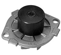 MAHLE CP 368 000P water pumps