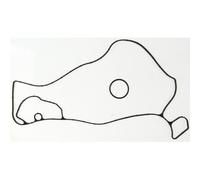 MAHLE Guarnizione pompa acqua motore K32581