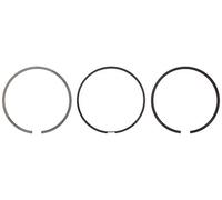 Set di anelli per pistoni MAHLE 009 81 N0