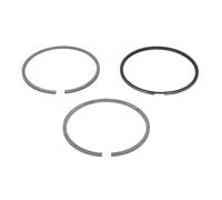 MAHLE 040 01 N0 Kit fasce elastiche per CITROËN,FIAT,PEUGEOT