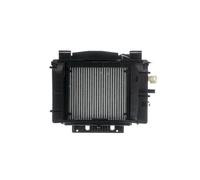 MAHLE ORIGINAL AE 195 000P Evaporatore climatizzatore