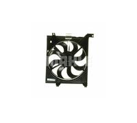 MAHLE CFF 259 000P