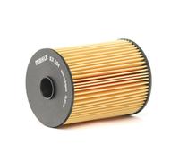 STARK SKFF-0870026 Filtro carburante Filtro combustibile per MINI Cabrio (R52)