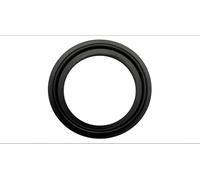 MAHLE Pistone motore S224-3443.010