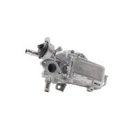 MAHLE Radiatore, Ricircolo gas scarico CE49000P | Compatibile con: FIAT TALENTO Bus, TALENTO Pritsche/Fahrgestell, OPEL VIVARO B Bus, VIVARO B Pritsche/Fahrgestell