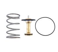 MAHLE Termostato Refrigerante Con Guarnizione 95 °C Per Nissan Qashqai II