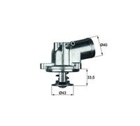 MAHLE TI 21 87 Termostato motore