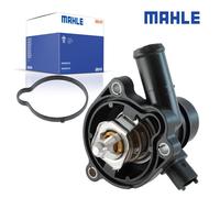 Behr-thermot-tronik TM36103 Termostato per il Refrigerante