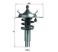 Behr-Thermot-Tronik TX10690D - Termostato refrigerante