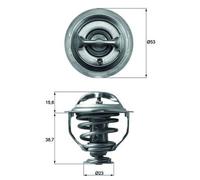 MAHLE ORIGINAL Termostato motore